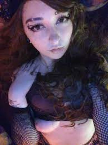 Kittensplaypen