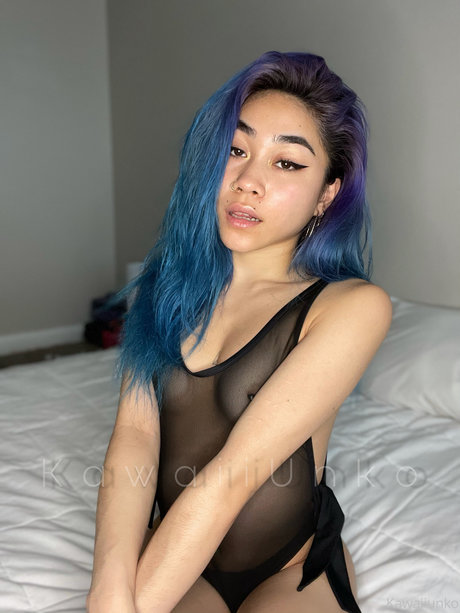 SolanasUniverse