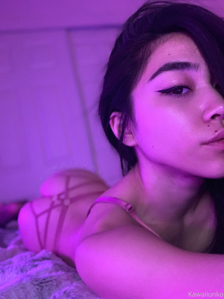 SolanasUniverse