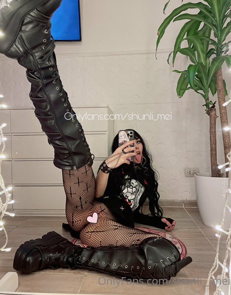Shunli_mei