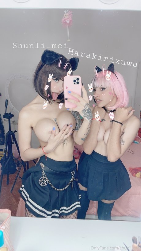 Shunli_mei
