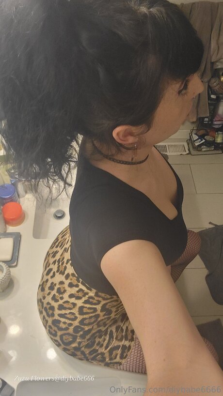 Diybabe6666