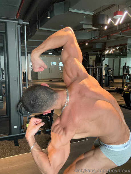Boyalexx