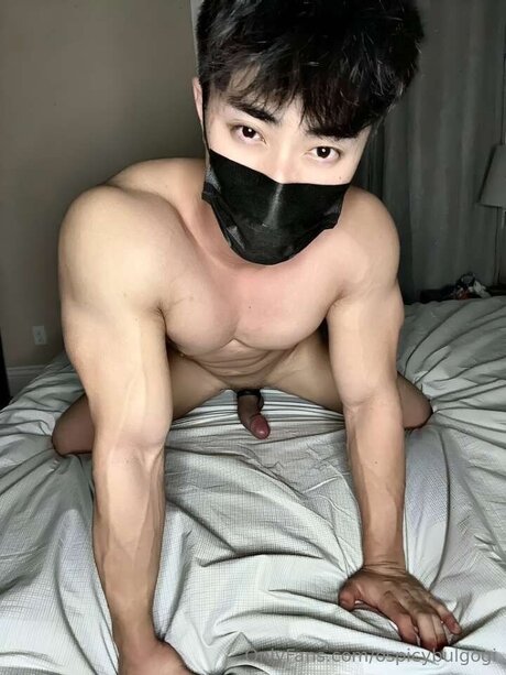 Ospicybulgogi