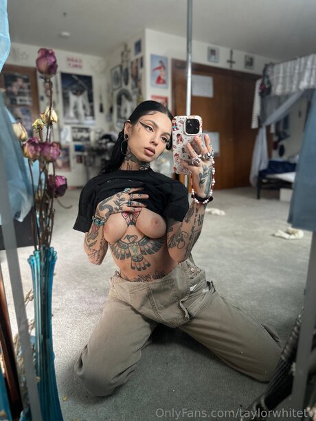 Taylorwhitetv