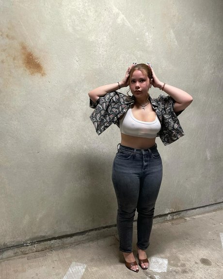 Erikaapalacioss