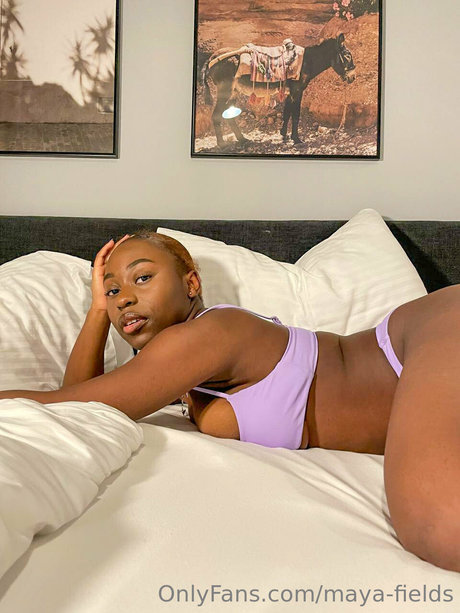 Maya Fields
