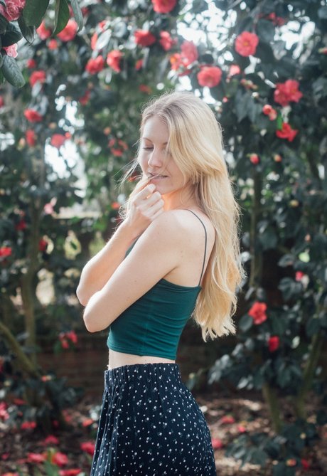 Aspen Eden