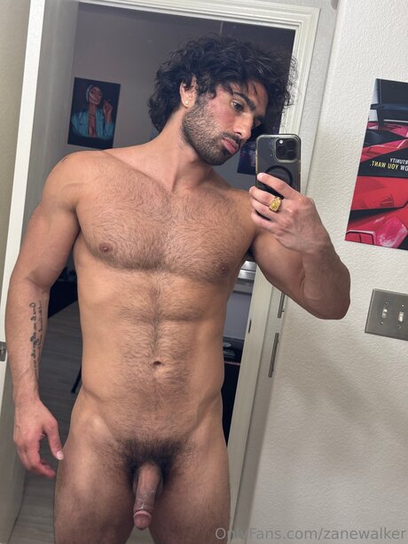 Zanewalker