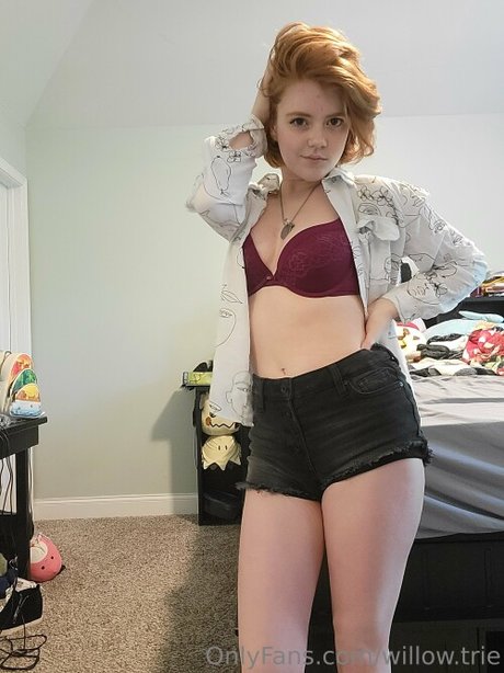 Willow Trie