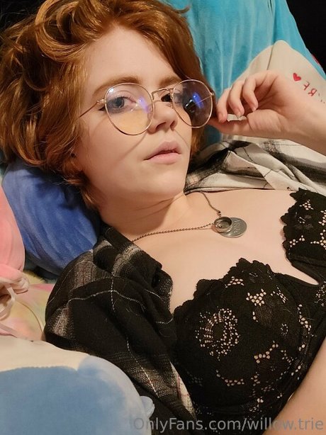 Willow Trie