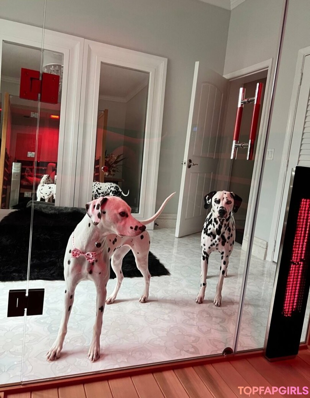 Foto desnuda filtrada de OnlyFans de Amanda Cerny #1418