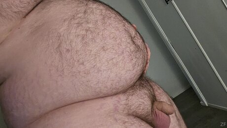 Zanefitzgerald