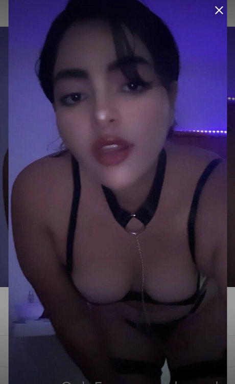 Shesscb