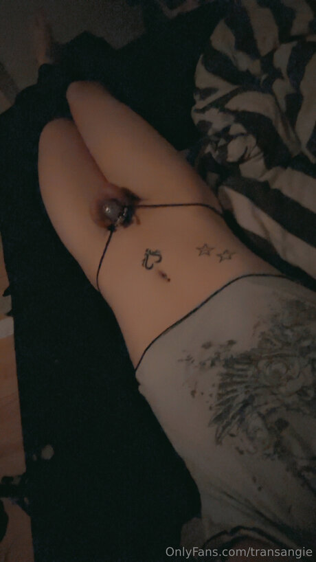 Transangie