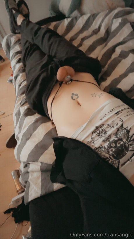 Transangie