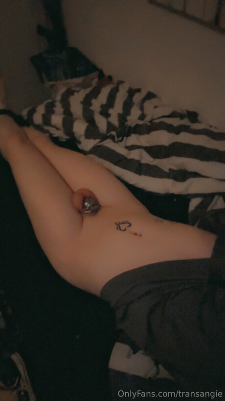 Transangie