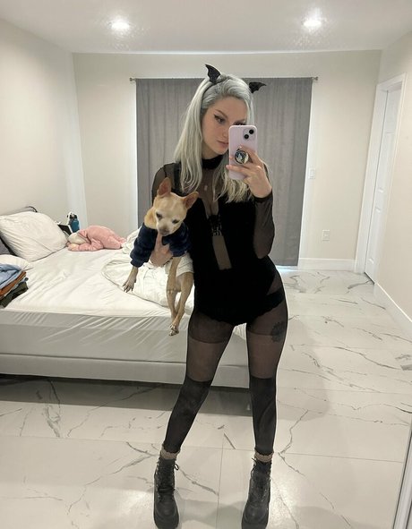 Busy B ASMR