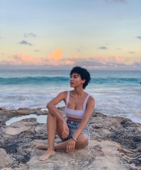 Andy Allo
