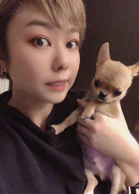 Pchan666