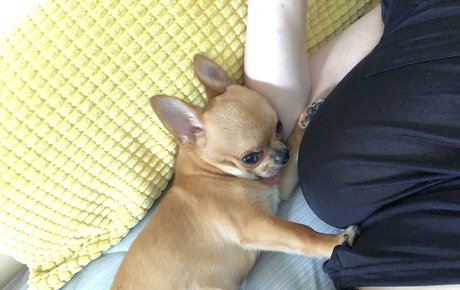 Pchan666