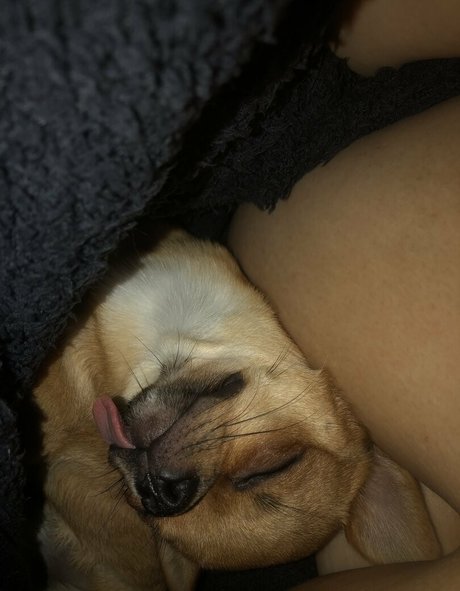 Foto desnuda filtrada de OnlyFans de Pchan666