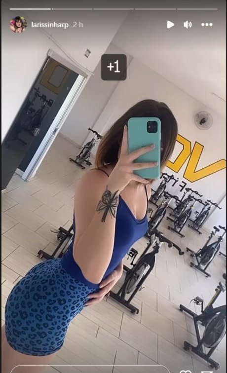 Larissinharp