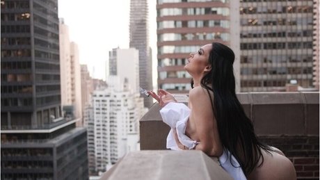 Amyanderssen