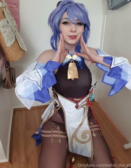 Elefiretheelf
