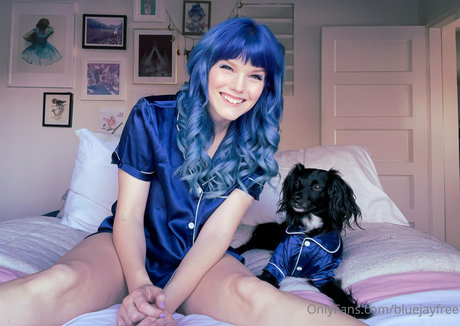 Bluejayfree