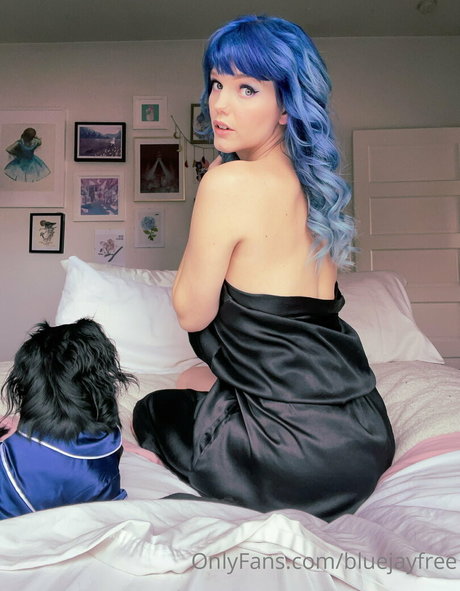 Bluejayfree