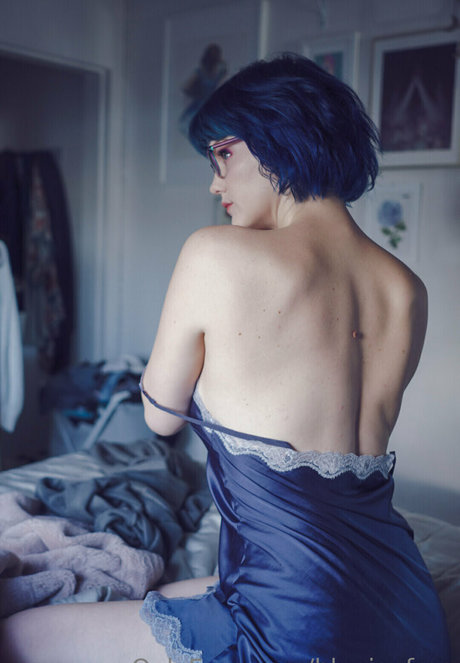 Bluejayfree