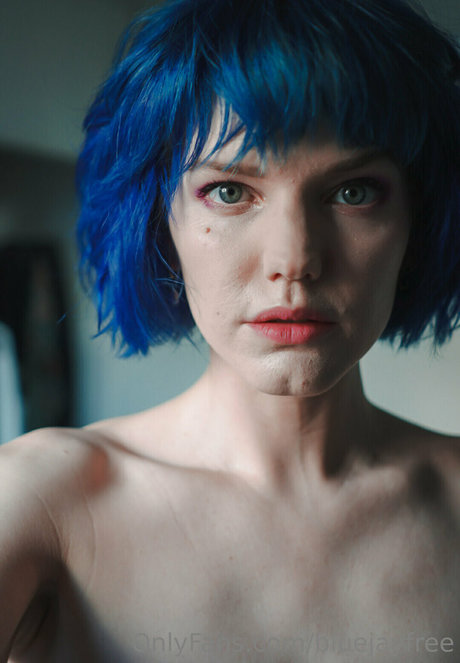 Bluejayfree