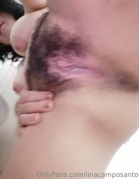 Linacamposanto