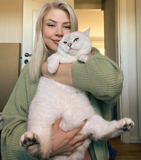 Majijej