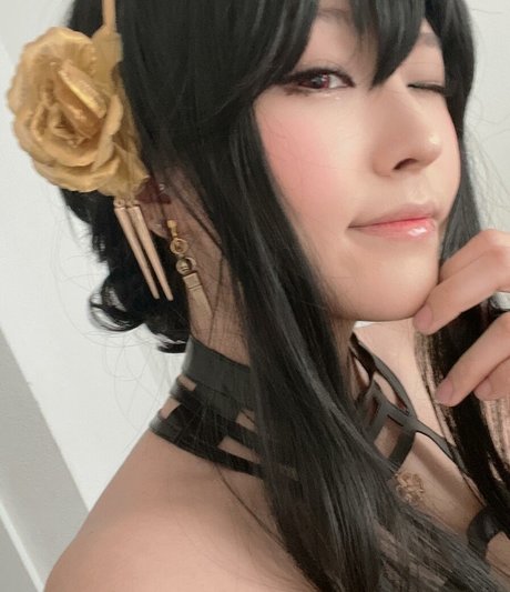 Aikuros