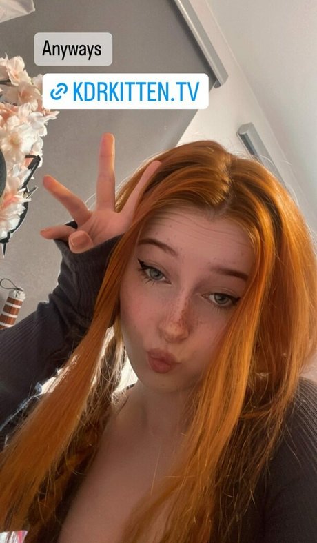 Kdrkitten
