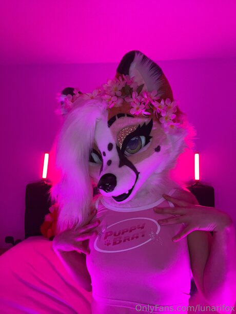 Lunarifox
