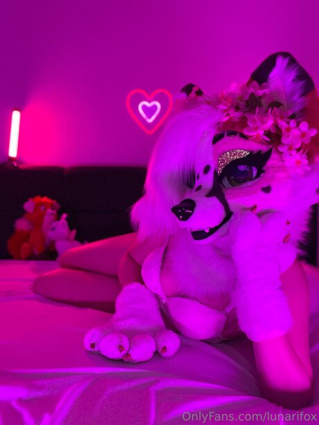 Lunarifox