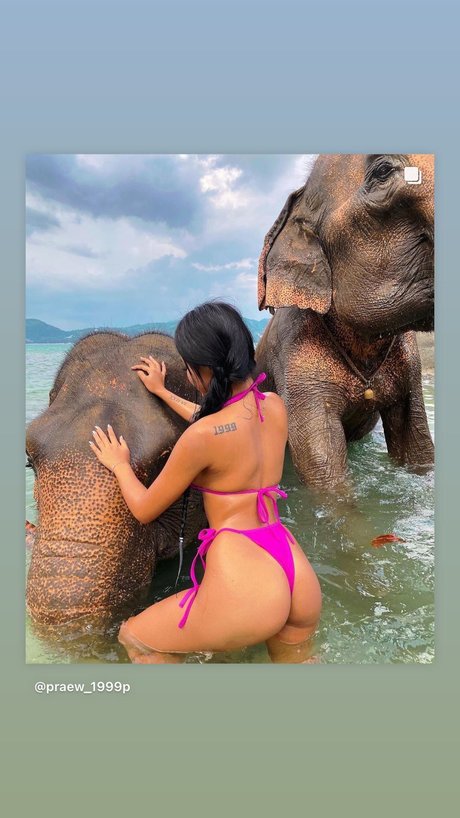 Praew Phatcharin