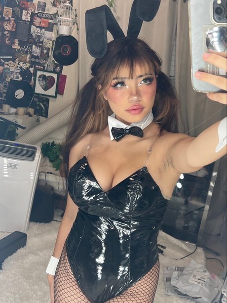 Angelicat