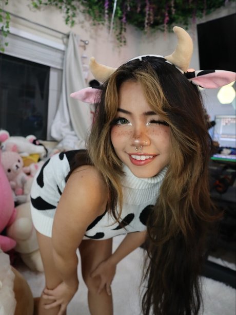 Angelicat