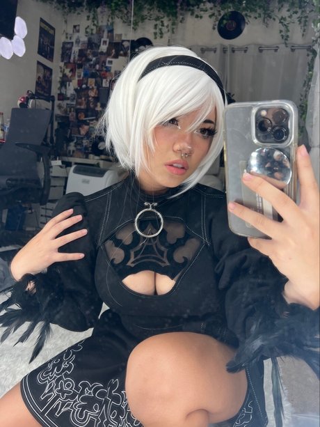 Angelicat