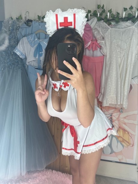 Angelicat
