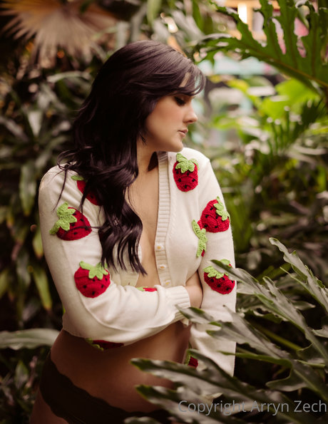 Arryn Zech