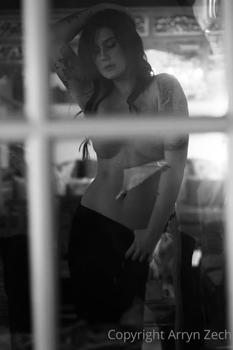 Arryn Zech