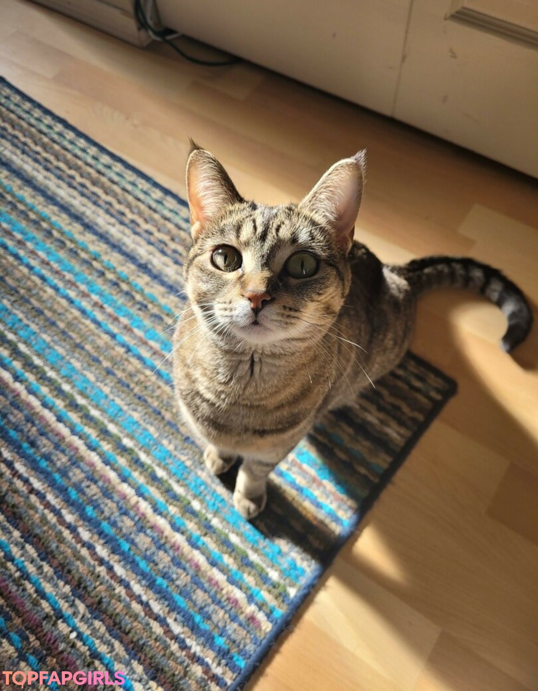 Foto desnuda filtrada de OnlyFans de Midnight Vulpi #79 Foto desnuda filtrada de OnlyFans de Midnight Vulpi #79