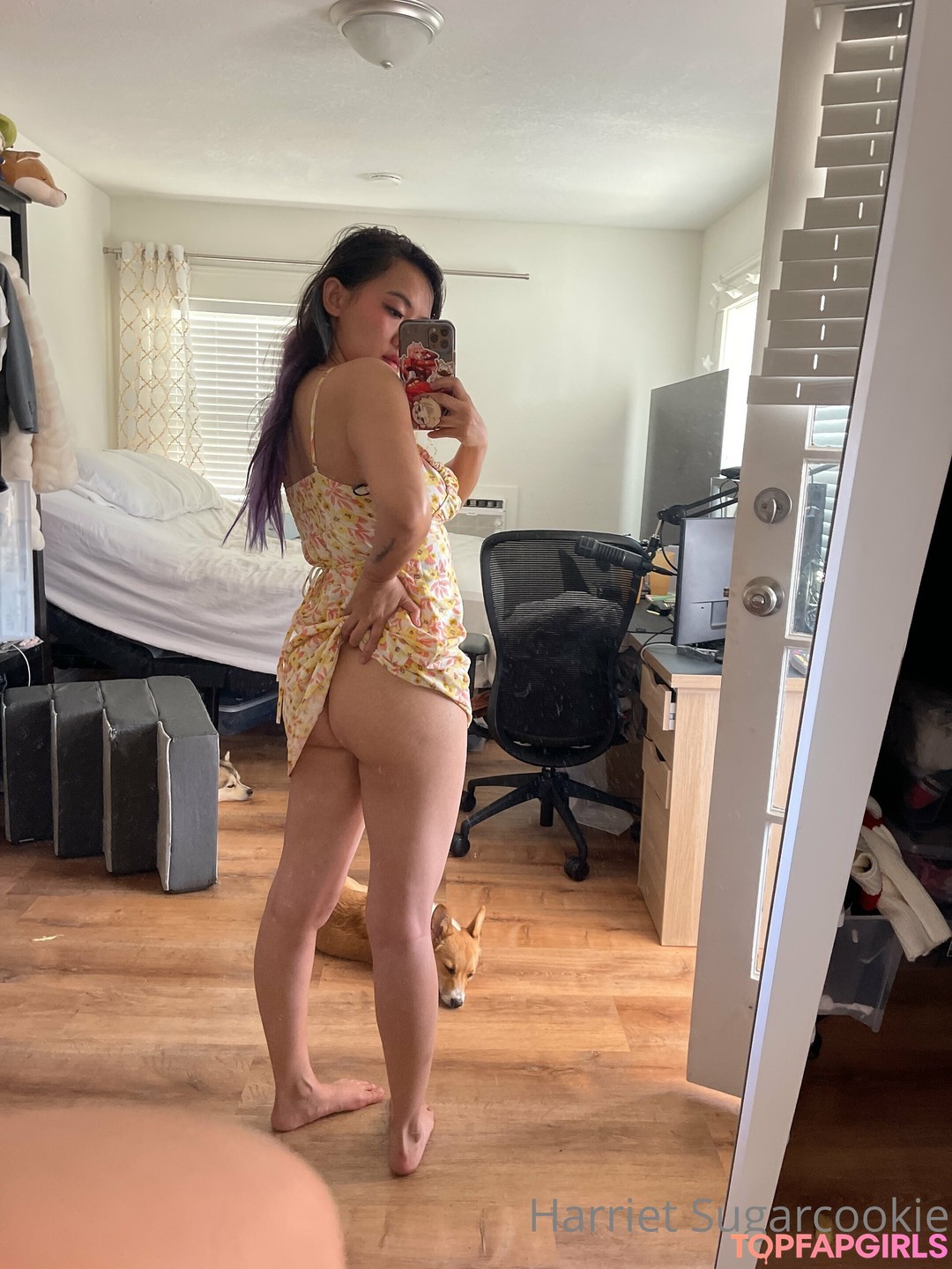 Foto desnuda filtrada de OnlyFans de Harriet Sugarcookie #137 Foto desnuda filtrada de OnlyFans de Harriet Sugarcookie #137