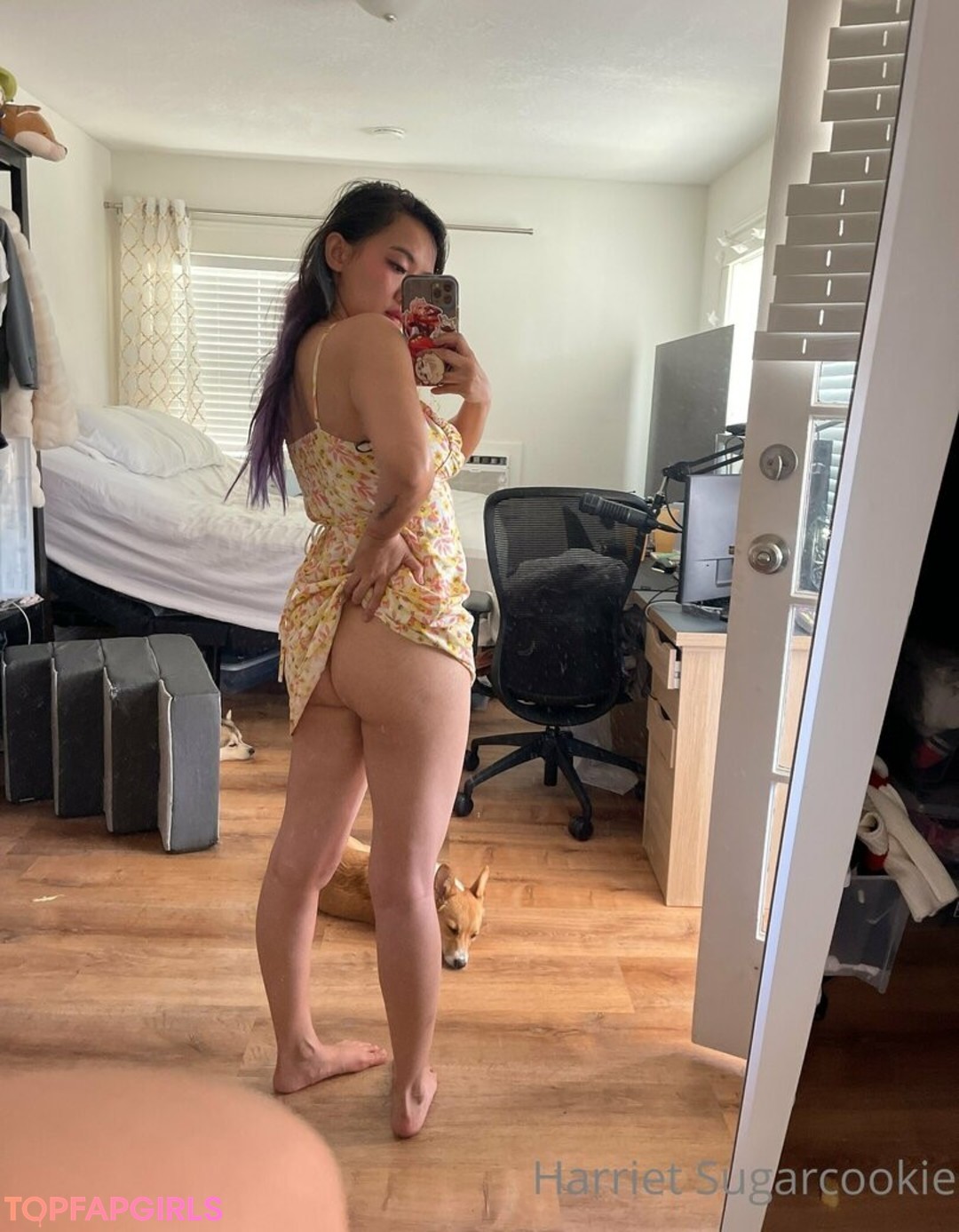 Foto desnuda filtrada de OnlyFans de Harriet Sugarcookie #551 Foto desnuda filtrada de OnlyFans de Harriet Sugarcookie #551