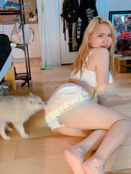 Harriet Sugarcookie